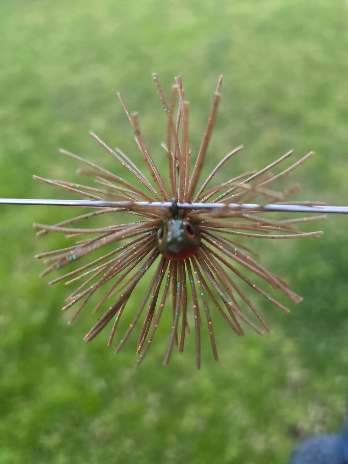 Urchin Bait jig