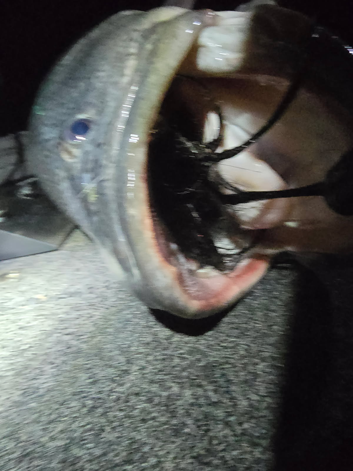 MSB Cod Fly Jig
