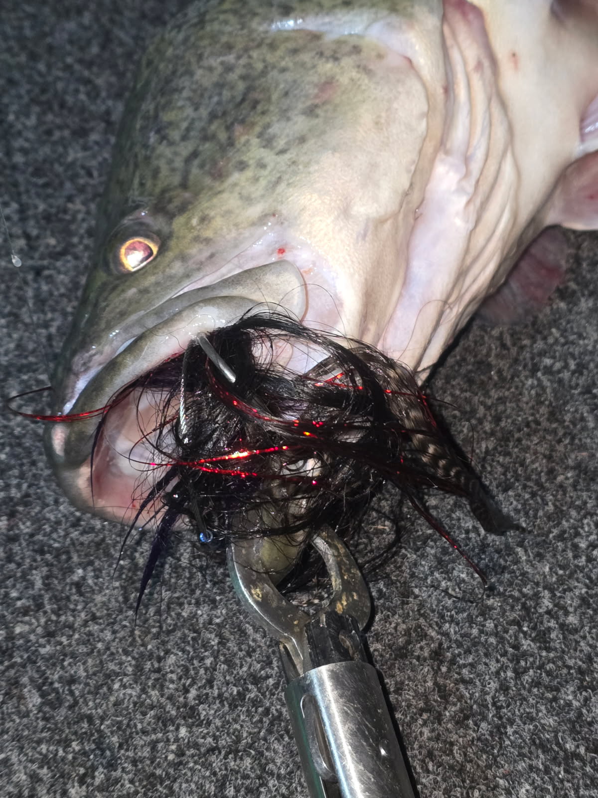 MSB Cod Fly Jig